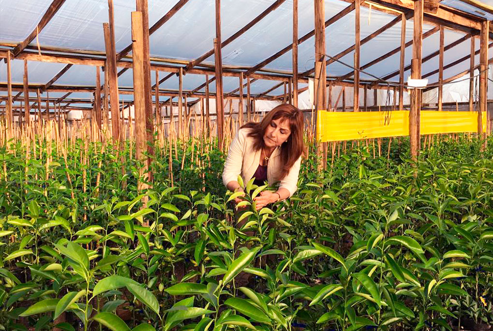 Entrevista Laura Ascui, Viveros La Serena: "El compost de Rosario Agricultura Sustentable permitió mejorar radicalmente el sustrato en que cultivamos nuestras plantas"